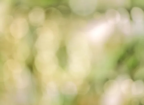 Manchas verdes e amarelas e brilho. fundo desfocado. sem foco. — Fotografia de Stock