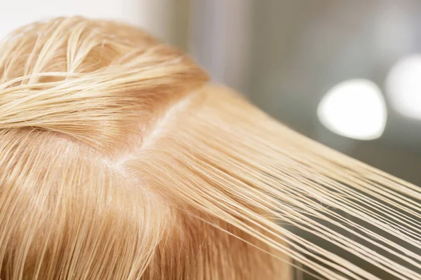 A modell fején lévő haj szépen fel van osztva hajvágásra és festésre szolgáló területre. — Stock Fotó