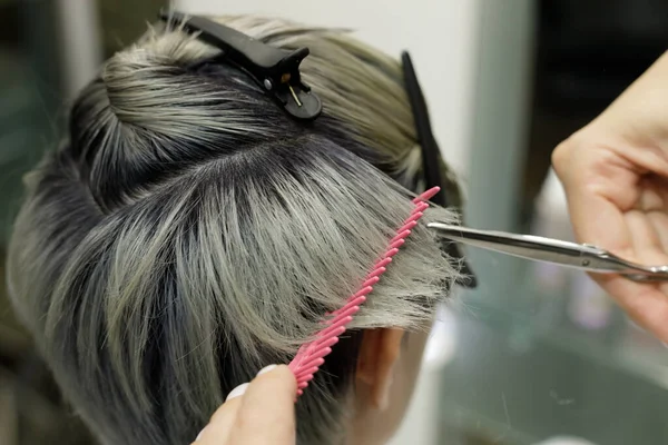 hairdresser hands with comb and scissors cut the model hair