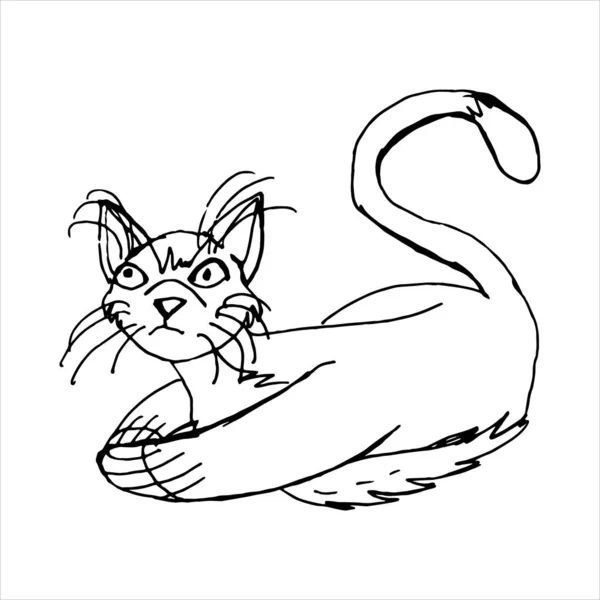 Абстрактный задумчивый кот Векторный эскиз. Минимализм. — стоковый вектор