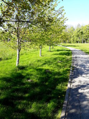 Yeşil Bahar Geçidi. Peyzaj.