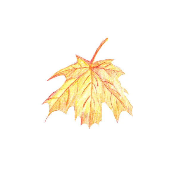 Handgezeichnete Illustration Yellow Maple Leaf. Aquarell-Farbstifte. — Stockfoto