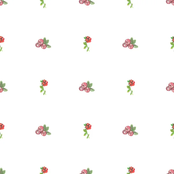 Seamless pattern. White background with red wild berries. For wrapping paper, covers, postcards. — Stock Photo, Image