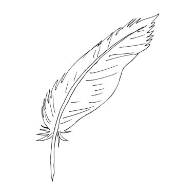 Kuş tüyü elle çizilmiş. Vektör stok illüstrasyonu.