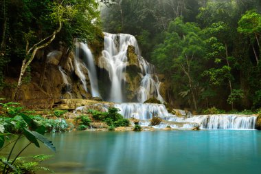 Kuang Si Şelalesi, Luang Prabang, Laos