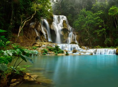 Kuang Si Şelalesi, Luang Prabang, Laos