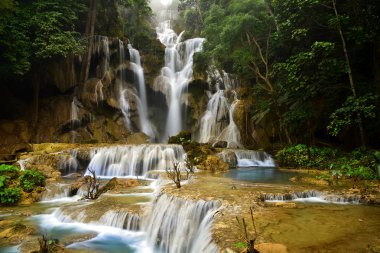Kuang Si Şelalesi, Luang Prabang, Laos