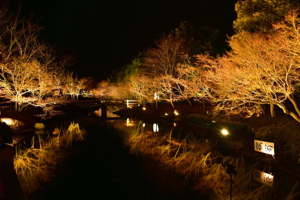 Rozsvítit strom, zimní osvětlení v Mie, Japonsko — Stock fotografie