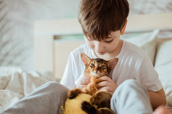 Little kid boy holding and hugging red cat somali breed kitten. — Stock Photo, Image