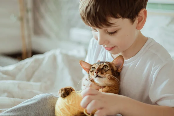 붉은 고양이 소말리 새끼를 안고 있는 어린 소년. — 스톡 사진