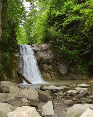 Romanya 'nın Buzau dağlarındaki Pruncea şelalesi ve Casoca nehrinin manzarası. Ormanda güzel bir şelale
