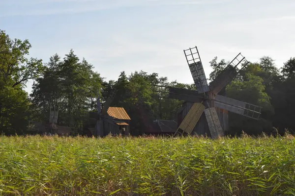 Yazın güneşli bir günde yeşil su bitkilerinin üzerinde kırsal alanda muhteşem ahşap değirmenler..