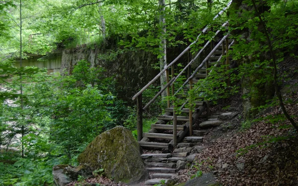 Paysage Sentier Avec Ancienne Échelle Bois Sur Sentier Dans Une — Photo