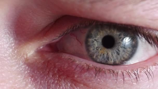 Riflessione Dello Schermo Sull Occhio Verde Blu Della Persona Nella — Video Stock