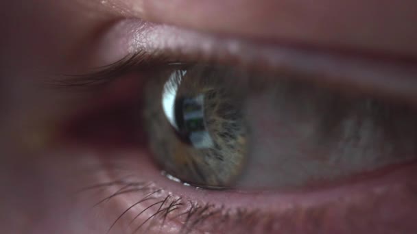 Reflejo Pantalla Ojo Verde Azul Persona Habitación Oscura — Vídeo de stock