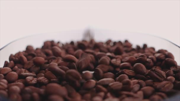 Kaffebönor Och Kopp Framställningen Kopp Kaffe — Stockvideo