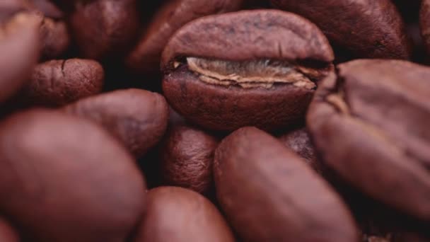 Kaffebönor Och Kopp Framställningen Kopp Kaffe — Stockvideo