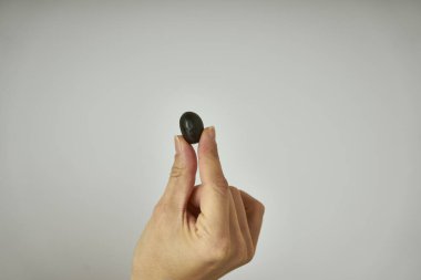 Adamın ellerinde zeytin ağacından toplanmış siyah zeytin var.