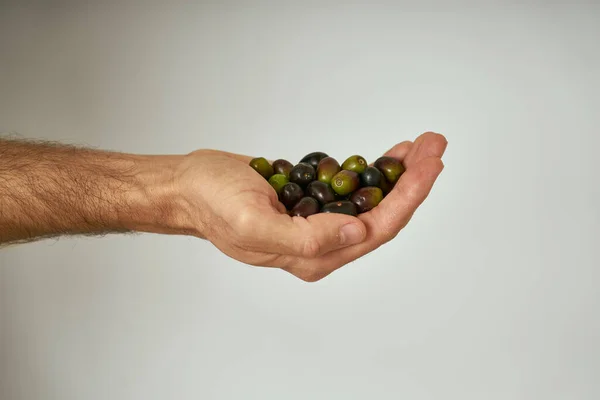 Farmer Holding Your Hand Black Group Olives Gray Background Olives — Stock Photo, Image
