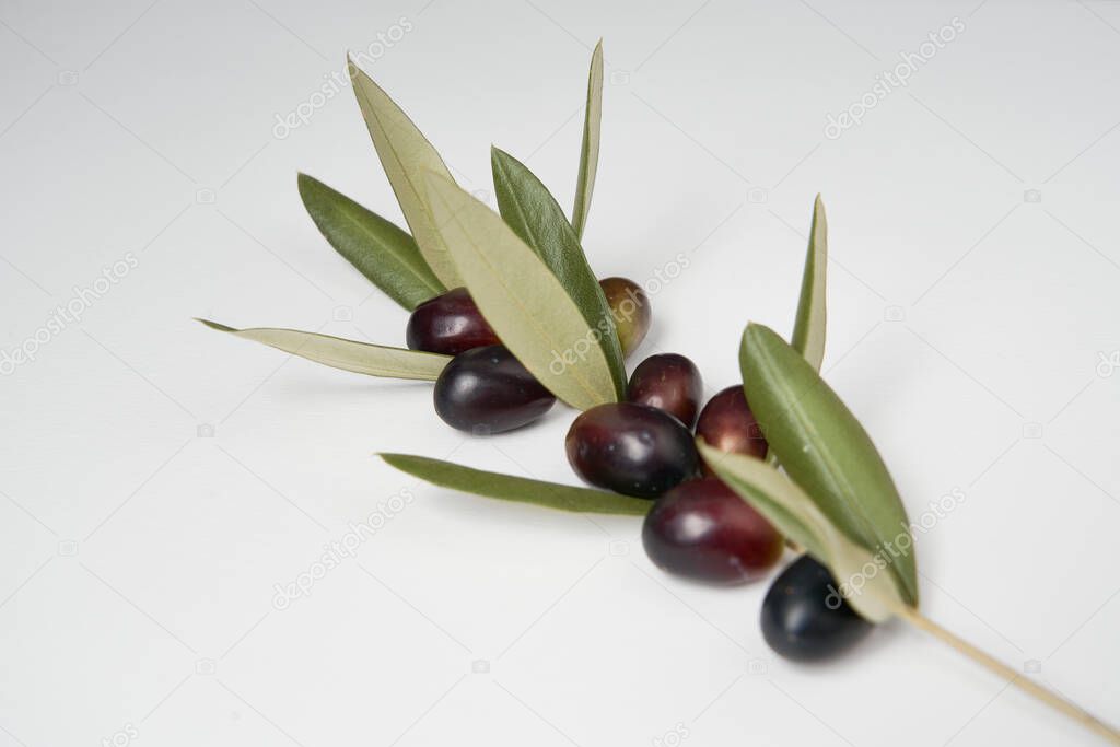 Olive branches and freshly picked green and black olives photographed on a white background.