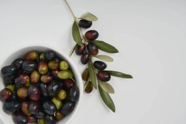 Olive Branches Freshly Picked Green Black Olives Photographed White Background Royalty Free Stock Photos