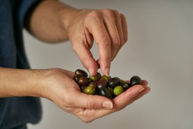 Çiftçi elinde zeytin ağacından toplanan zeytinleri gösterir.                      