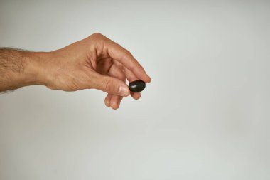 Adamın ellerinde zeytin ağacından toplanmış siyah zeytin var.