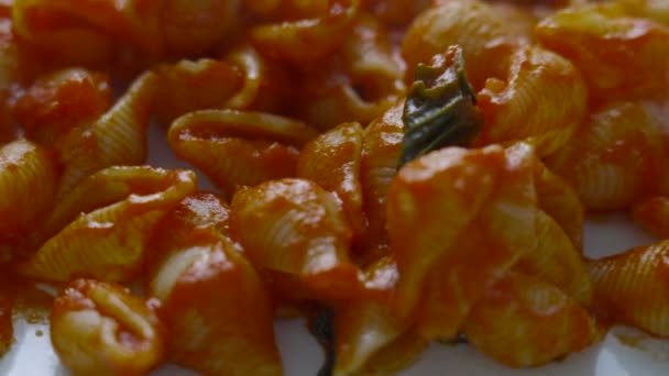Tradiční Italské Rajčatové Těstoviny Těstoviny Tvaru Skořápky Vaří Servírují Čerstvou — Stock video