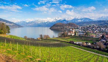 Kale Spiez, İsviçre