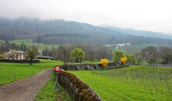 Швейцарський сільська дорога — стокове фото