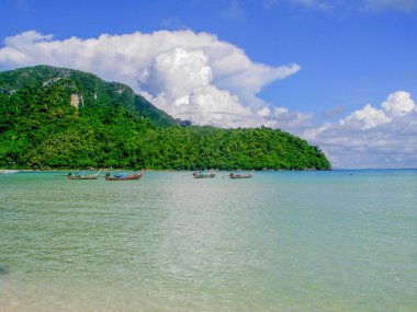 Loh alanında Bay gündüzleri, Phi Phi Island Tayland