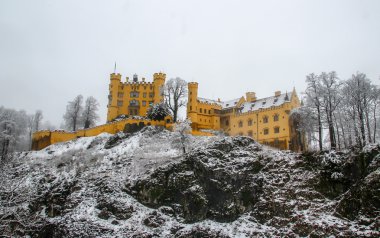 karla kaplı castle hohenschwangau