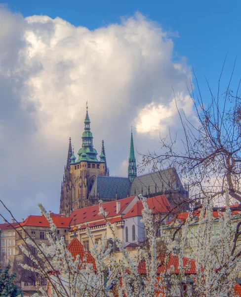 St.-Vitus-Kathedrale — Stockfoto