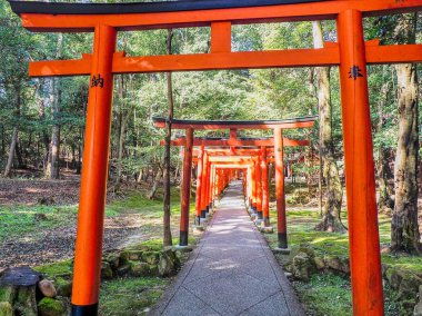 KASHIHARA, NARA, JAPONYA - 12 Nisan 2017: Nagayama Inari Tapınağı 'ndaki orman boyunca uzanan kırmızı torii kapılarıyla dolu bir patika. Tarihi Kashihara Jingu 'nun bir yan kuruluşu olan tapınakta geleneksel Shinto mimarisi yer alıyor..