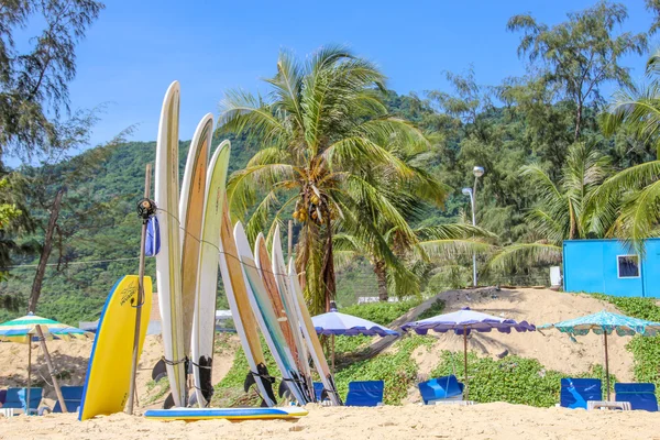 Pranchas de surf na praia — Fotografia de Stock