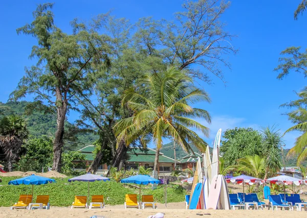 Tablas de surf en la playa — Foto de Stock