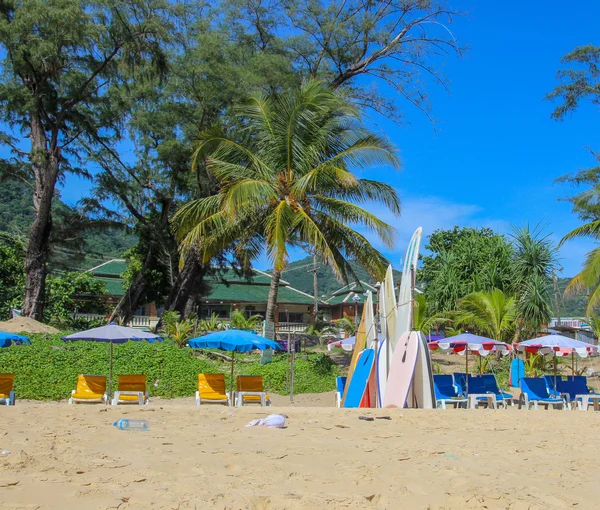 Surf boards on the beach — Stock Photo, Image