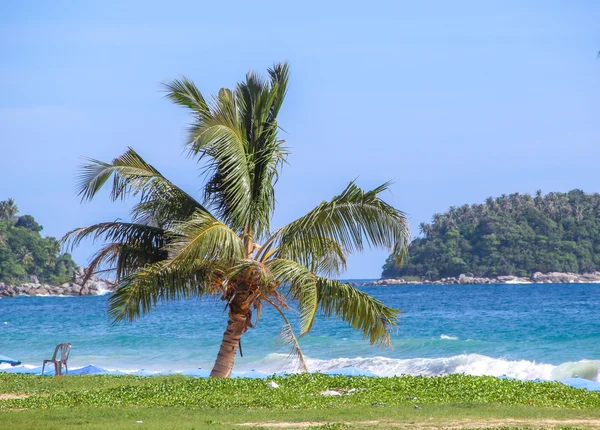 在海边沙滩上的热带棕榈树 — 图库照片