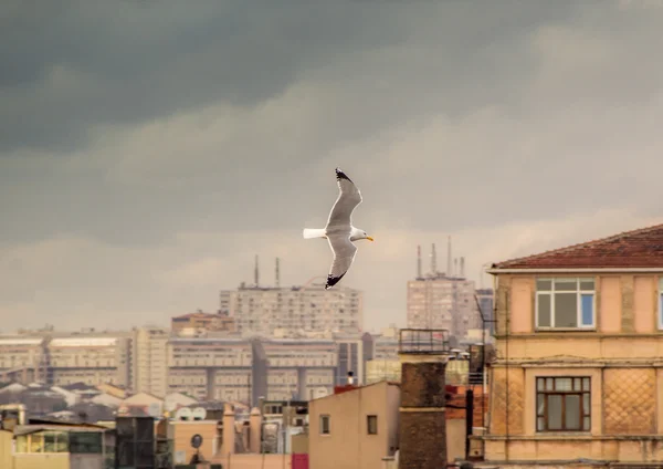 イスタンブールの鳥瞰図 — ストック写真