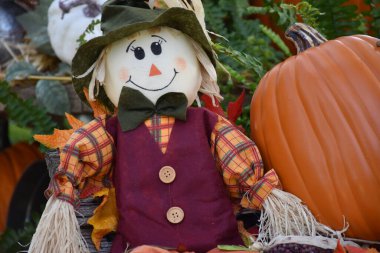 Hasat festivali, sonbahar çiçekleri, balkabakları, dekorasyon, gösteri. Sonbahar sezonu. Tatil. Cadılar Bayramı ve Şükran Günü için renkli korkuluk süslemeleri.