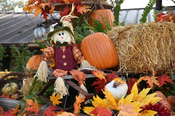 Harvest Festival Autumn Flowers Pumpkins Decoration Showcase Fall Season Holidays — Stock Photo, Image