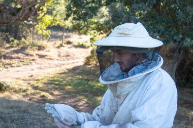 young beekeeper putting on the gloves of his protective suit against bee stings to start the work day on a sunny day clipart
