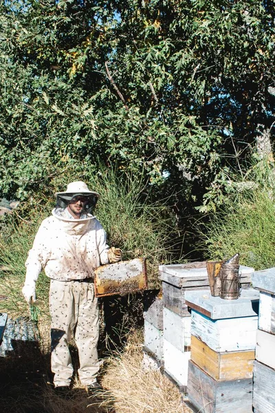 Jungimker Bienenschutzanzug Zeigt Einem Sonnigen Tag Einen Bienenstock — Stockfoto