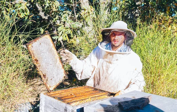 벌통에서 꺼낸 완전히 닫혀 있는 꿀 벌집을 보여 주는 어린 양봉가 — 스톡 사진