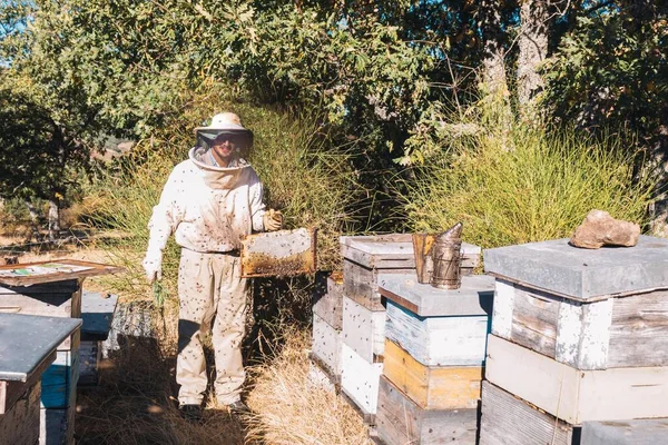 ミツバチから蜜を集める巣の真ん中の養蜂家煙のスタントマンと一緒に — ストック写真