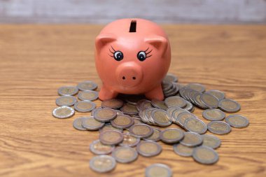 Finansal muhasebe kavramında iki avroluk madeni paradan tasarruf etmek için pembe seramik domuz.