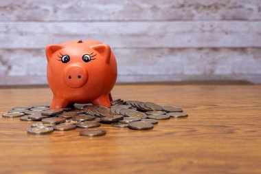 Para biriktirmek için pembe seramik domuzun seçici odak noktası. Finansal ekonomi kavramında fotokopi alanı olan paralar.