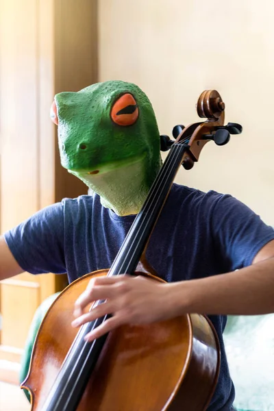 Tonåring Med Groda Mask Spelar Cello Visar Detalj Med Selektivt — Stockfoto