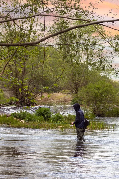 Selective focus of a young man fishing in the middle of a river with long rubber fishing boots and a sunset sky.