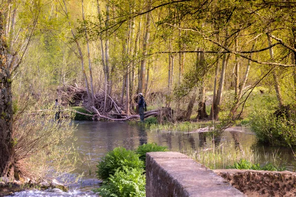 Balıkçı Kıyafetli Oltayla Nehirde Yüzen Iki Genç Balıkçı Doğanın Ortasında — Stok fotoğraf